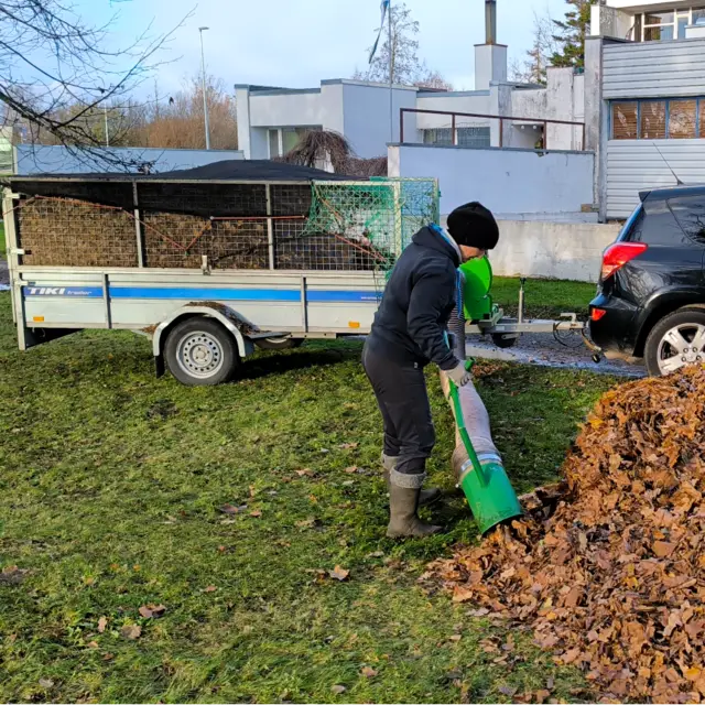 Sügisene lehekoristus professionaalse leheimuriga